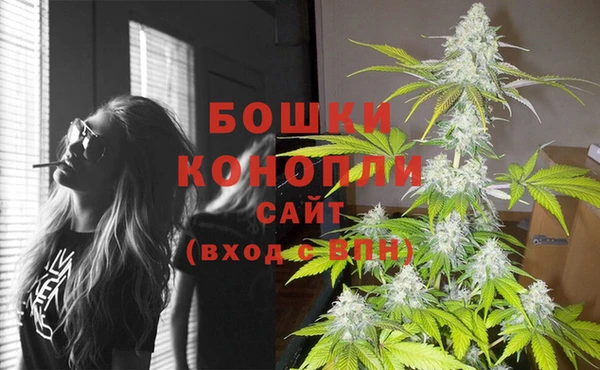 тгк Костерёво