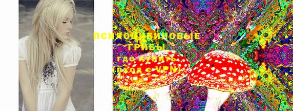 экстази Корсаков