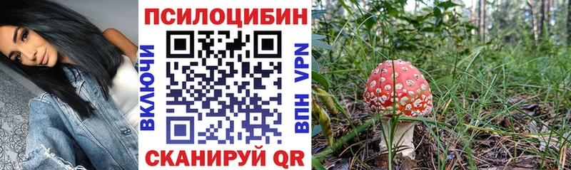 Псилоцибиновые грибы Psilocybe  Купить где  Пущино 
